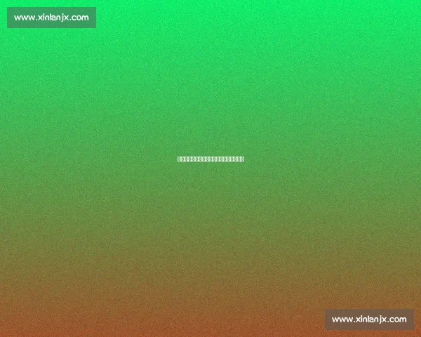 新老双星闪耀四强：女排名帅的传承与革新