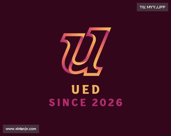 关于UED